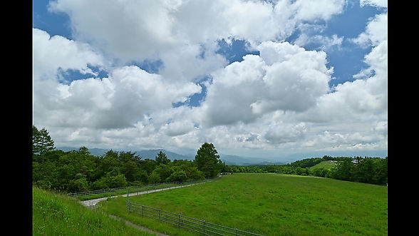 調和する雲と牛, 清里にて   Harmonized movement of clouds and cows captured in the Kiyosato, Nagano Prefecture.